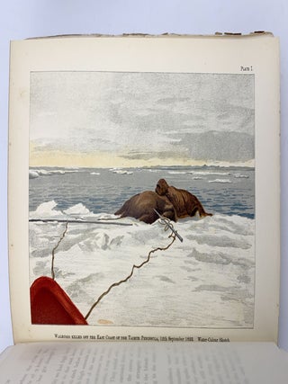 Farthest North