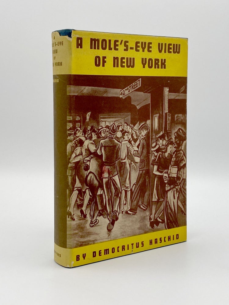Item #406108 A Mole's-Eye View of New York. Democritus HASCHID.