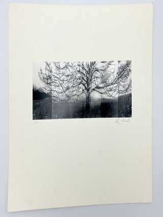 1974 Portfolio Project