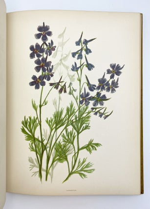 Wild Flowers of the Pacific Coast. From original water color sketches drawn from nature