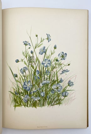 Wild Flowers of the Pacific Coast. From original water color sketches drawn from nature