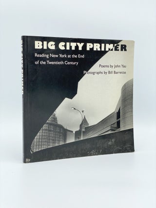 Item #407055 Big City Primer: Reading New York at the End of the Twentieth Century. John /...