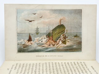 Item #407204 Fighting the Whales: Or, Doings and Dangers of a Fishing Cruise