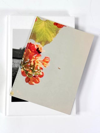 The things of the world are true / Somersault Special Edition