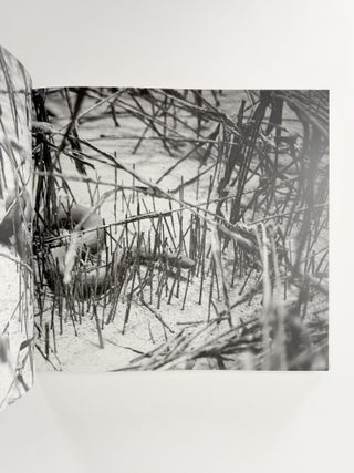 Anselm Kiefer: Morgenthau Plan