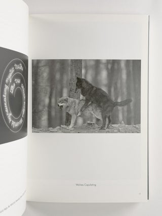 Bruce Nauman: Mindfuck